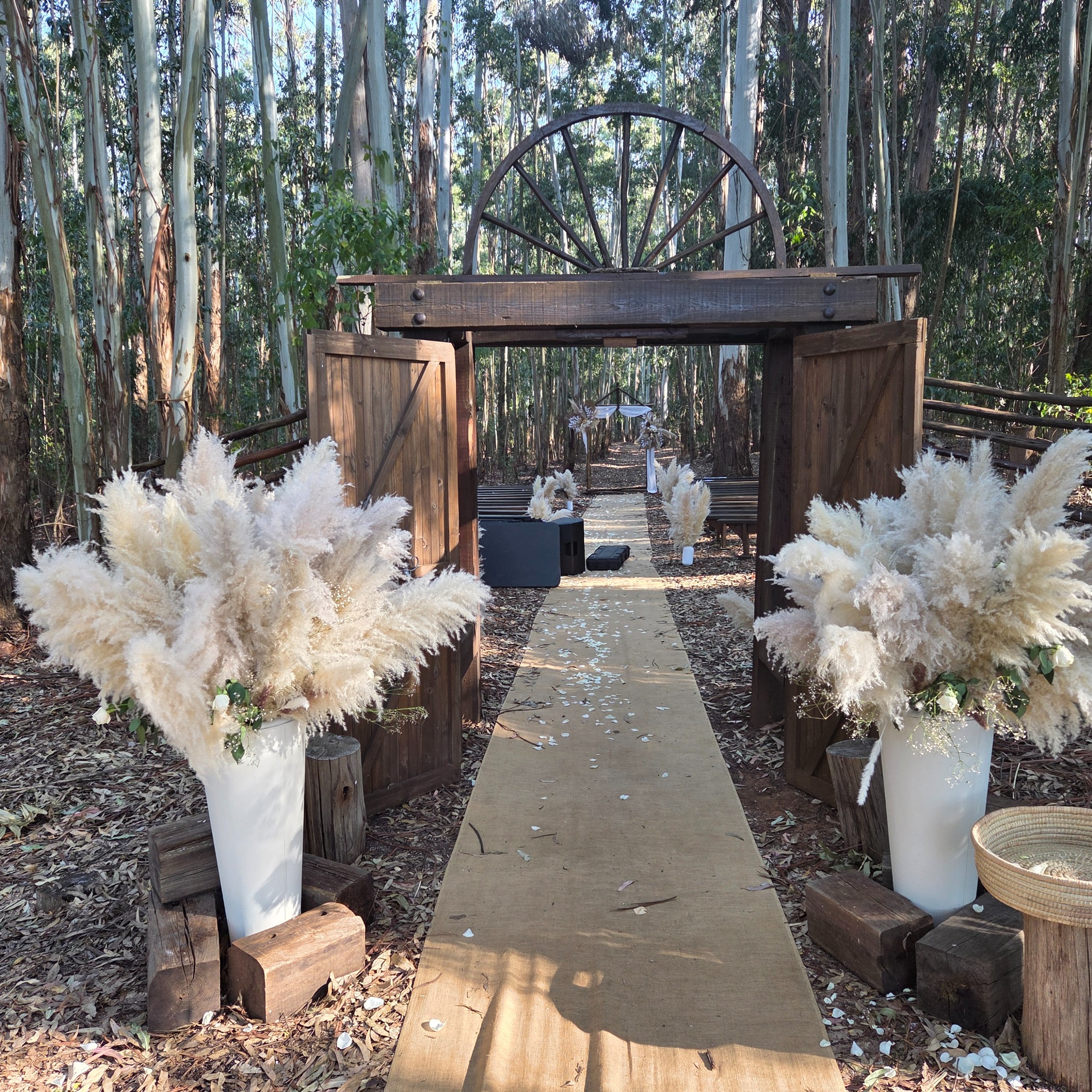 Forest wedding aisle